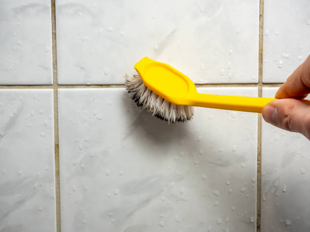 Best Residential Mold Removal  in Wahoo, NE